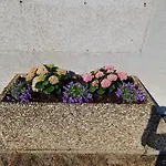 Haus Brenner 아파트