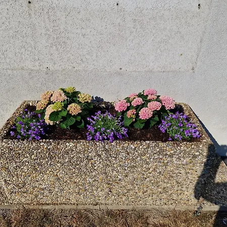 Haus Brenner Lägenhet