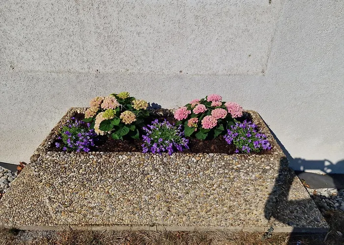 Haus Brenner Apartman